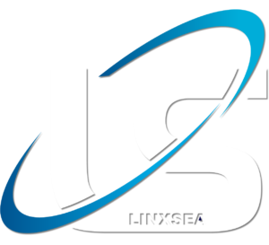 Logo LINXSEA White